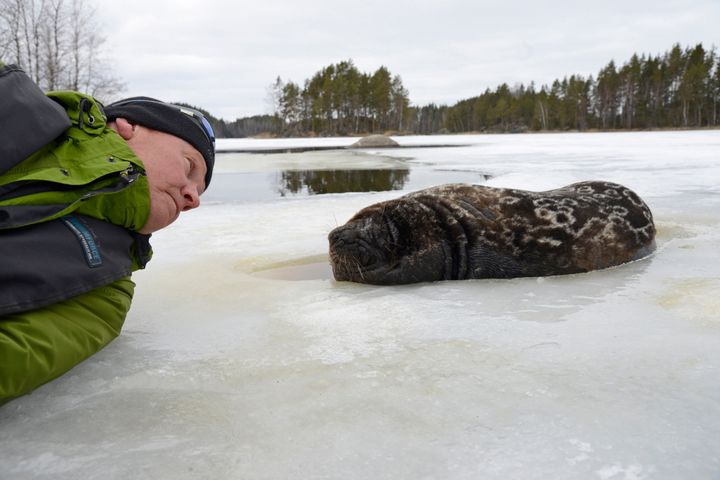 Juha "Norppa" Taskinen, kuva Juha Taskinen