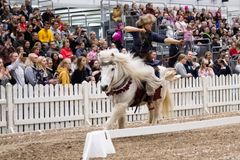 Ratsastusjousiammunta on näyttävä show-numero GoExpo Horse -messuilla. Kuva: Messukeskus, Heidi Koivunen.