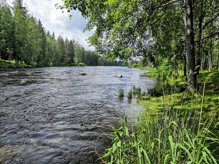 Vilppulankoski Vilppulassa Ylä-Pirkanmaalla. @ Maaseutuverkoston kuvapankki
