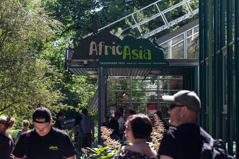 Trooppinen talo Africasia