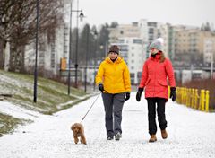 Vapaa-ajan fyysinen aktiivisuus on yhteydessä hitaampaan ikääntymiseen. Kuva: JYU