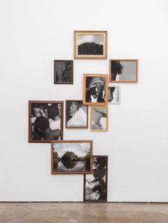 Exquisite Terribleness in the Mangrove,
2014 by Todd Gray.
The collection of Aryn Drake-Lee Williams & Jesse Williams.
Image courtesy of Meliksetian | Briggs, Los Angeles.
© Todd Gray