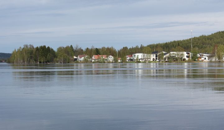 Rovaniemen Pullinranta keväällä 2020. Kuva vapaasti käytettävissä.