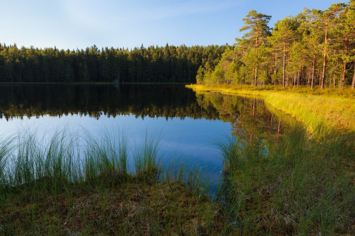 Ranta-asukkaat puolustavat puhtaita vesistöjä. (Mostphotos)