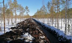 Maaliskuussa 2021 kaivettu vedenpalautusuoma Passmossenilla Pedersören kunnassa, jossa ojituksen kuivatusvesi johdetaan hyödyttämään Natura-aluetta.