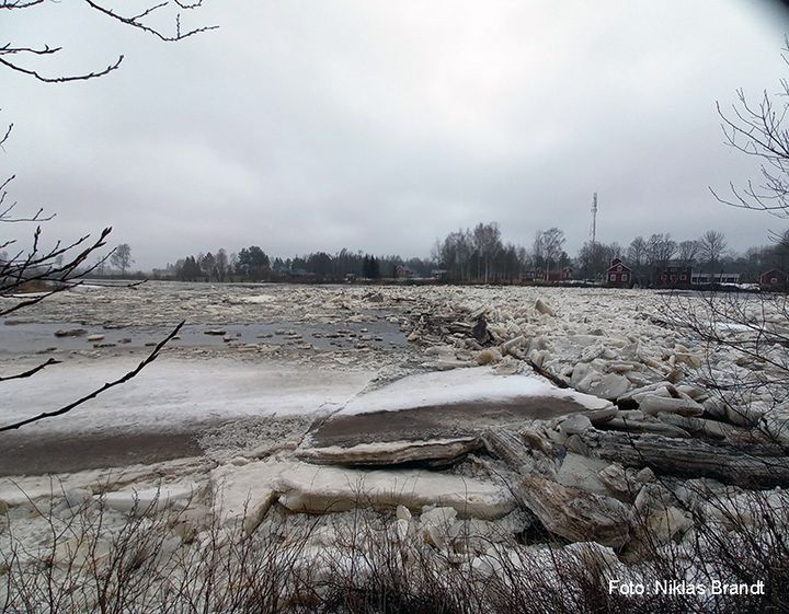 Lappfjärds å, isen rör på sig 29.3.2021. Foto: Niklas Brandt.