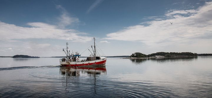 Silakan ja kilohailin kalastus on enensimmäisenä Suomessa saavuttanut kansainvälisen MSC:n kestävän kalastuksen sertifikaatin. Sen johdosta noin 95 % saalista täyttää nyt ympäristöllisesti vastuullisen kalastuksen kriteerit. Silakan osuus Suomen merialueen kaupallisen kalastuksen kokonaissaaliista on noin 90 prosenttia ja arvosta 70 prosenttia.