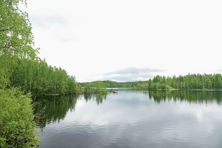 Kuva: Koitajoki. Tanja Heimonen / Pohjois-Karjalan ELY-keskus (2022)