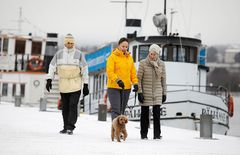 JYU.WELL verkosto tarkastelee hyvinvointia monipuolisesti. Kuva: Petteri Kivimäki.