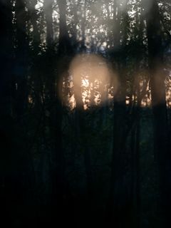 Stund. Susanna Alava. Originalfoto.