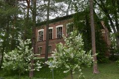 Konstantin Kiseleffin seminaarin vanha päärakennus ja Oppio-omenapuut. Kuvaaja Riikka Javanainen