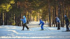 Säännöllisesti liikkuvat henkilöt syövät enemmän hedelmiä ja kasviksia.