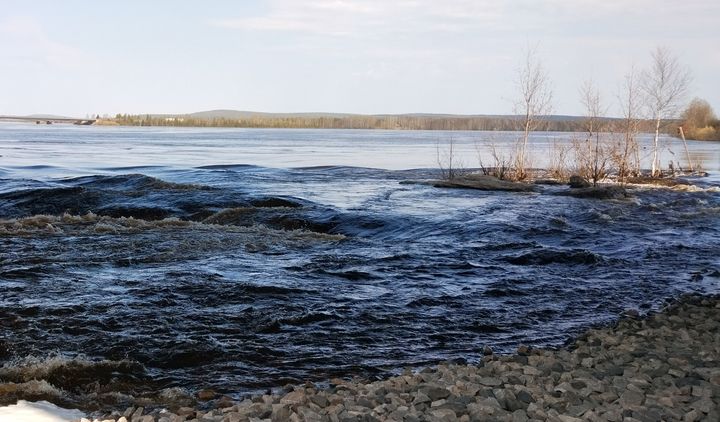 Kemijoki virtaa vuolaana Lainaalla 16.5.2023. Kuva: Lapin ELY-keskus.