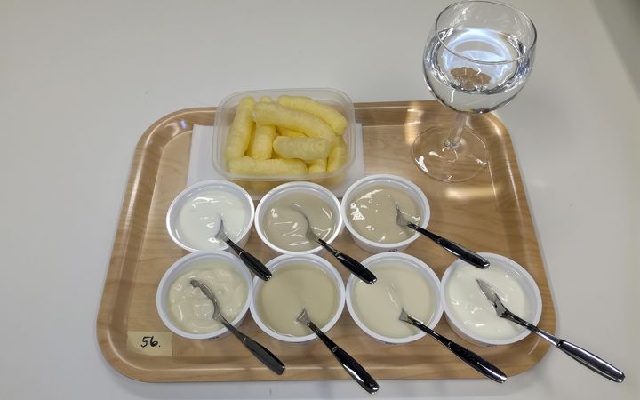 Kuluttajia pyydettiin arvioimaan maistamalla näytteiden miellyttävyyttä, valitsemaan näytteisiin sopivia ominaisuuksia ja arvioimaan niiden voimakkuutta sekä vastaamaan erilaisiin ruokailutottumuksia ja asennetta mittaaviin kysymyksiin. (Kuvaaja: Maija Greis)