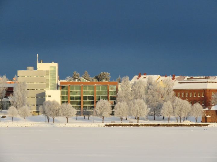 Edustajat kymmenestä eurooppalaisesta korkeakoulusta kokoontuvat ystävänpäivänä Vaasan yliopiston talviselle kampukselle. Kuva: Vaasan yliopisto. Kuva vapaasti käytettävissä.