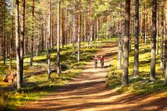 Vuoden retkikohde 2018 voittaja on Rokuanvaara, jossa on hienoja maastopyöräilyreittejä.