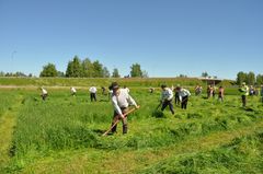 Lionsklubbarna i Liminka ordnade en Ängsdag dvs. ett familjeevenemang med slåttertalko som ett medelinsamlingsprojekt.