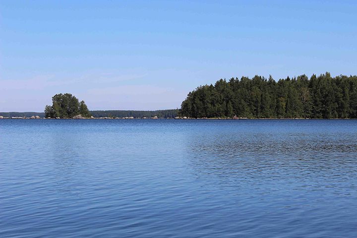 Kukkia on yksi Pälkäneen järvistä. Kuva: Pirkanmaan ELY-keskus