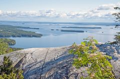 Koli, kesä. Kuva Kolin matkailu.