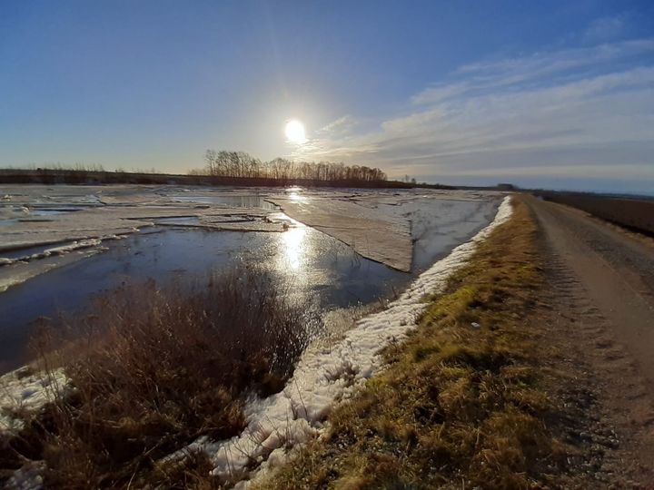 Lite is rör på sig i Lappo å 31.3.2021. Bilden är tagen uppströms från Kangas-Annala bron.