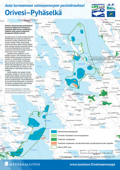 Saimaannorpan pesimäalueet, Orivesi-Pyhäselkä. Kuva: Metsähallitus.