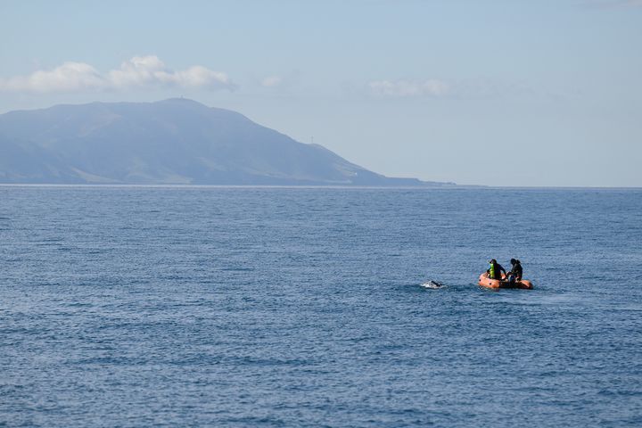 Nathalie Pohl in open seas during her crossing of the Cook Strait (photo: Mark Tantrum).