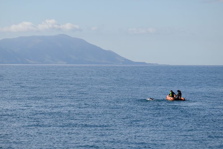 Nathalie Pohl in open seas during her crossing of the Cook Strait (photo: Mark Tantrum).