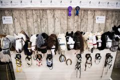 Keppihevosille on paljon kisoja ja muuta ohjelmaa. Kuva: Messukeskus.