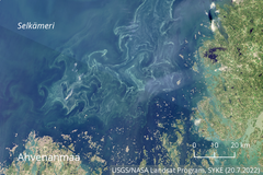 Eteläisen Selkämeren sinilevälautat näkyivät satelliittikuvissa keskiviikkona 20.7.2022.