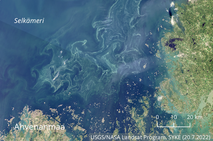 Eteläisen Selkämeren sinilevälautat näkyivät satelliittikuvissa keskiviikkona 20.7.2022.