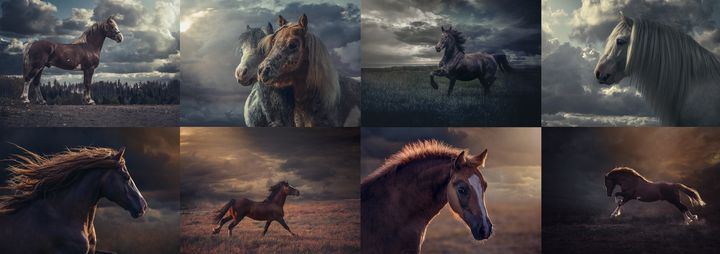 Kuvakollaasi Johanna Sjövallin Fotofinlandia 2020 -kilpailun voittaneesta sarjasta Magic of Horses.