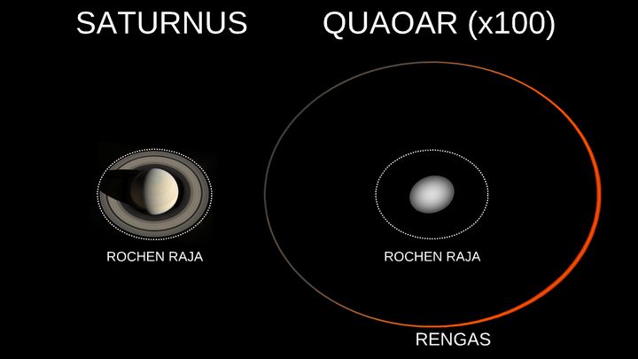 Vasemmalla Cassini-luotaimen kuva Saturnuksesta, oikealla taiteilijan näkemys Quaoarin renkaasta: renkaan ja keskuskappaleen kokoa on liioiteltu satakertaisesti suhteessa Saturnukseen. Katkoviivalla on merkitty jäisten kappaleiden Rochen raja, jonka ulkopuolella renkaiden on aiemmin uskottu tiivistyvän kuuksi.
Saturnus-kuva: NASA/JPL-Caltech/Space Science Institute/G. Ugarkovic; kuvakokonaisuus: Heikki Salo / Oulun yliopisto