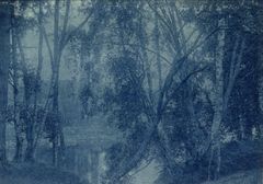 Johannes Schalin: Nedgången till älven, seminariet, 1906, syanotyyppi, 110 ✕ 150 mm. Suomen valokuvataiteen museo