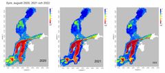 Bild 1. Syreläget på bottnen av det öppna havet från södra Östersjön till Bottenviken i augusti 2020, 2021 och 2022. © SYKE Data: SYKE och SMHI