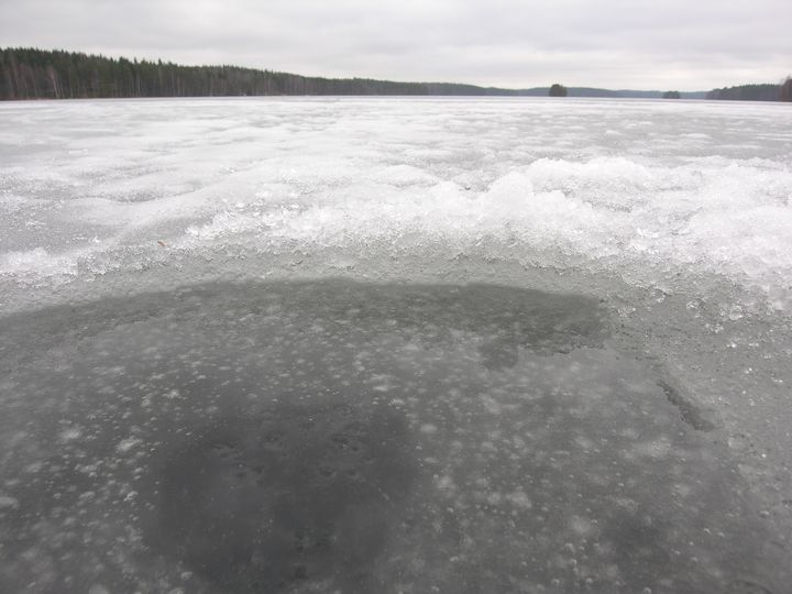 Etelä-Savon järvien jääpeitteen kokonaispaksuudet vaihtelevat. Kuva: Juho Kotanen. Vapaa julkaistavaksi.