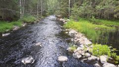 Pussijoki Multialla on voimakkaasti uittoperattu. Peratut kosken kivet ovat uoman rannoilla tai uittoväylän varressa. Kuva: Jaakko Mattila, Keski-Suomen ELY-keskus.