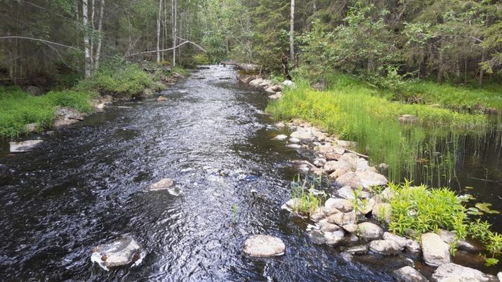 Pussijoki Multialla on voimakkaasti uittoperattu. Peratut kosken kivet ovat uoman rannoilla tai uittoväylän varressa. Kuva: Jaakko Mattila, Keski-Suomen ELY-keskus.