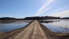 Vettä on noussut pelloille monin paikoin Pirkanmaalla. Kuva on otettu Urjalassa Välkkilänojan lähistöllä, joka laskee Kokonjärveen. Kuva: Henna Paija