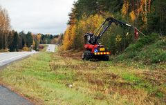 Puuta poistetaan tien takaluiskasta.