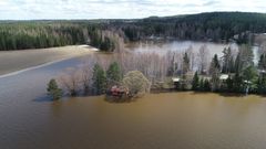 Varunteenkoski alapuoli, Puujoki. Kuvaaja: Kari Ranta-aho, Hämeen ELY-keskus