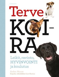 Terve koira