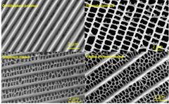 Nanostructures of different butterfly species. Photo:NANOMO