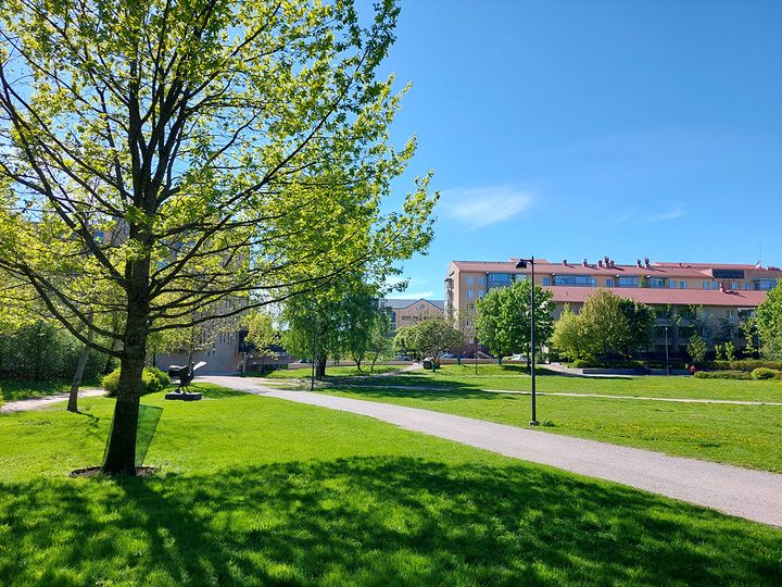 Bild: Anu Hämäläinen / Helsingfors stad