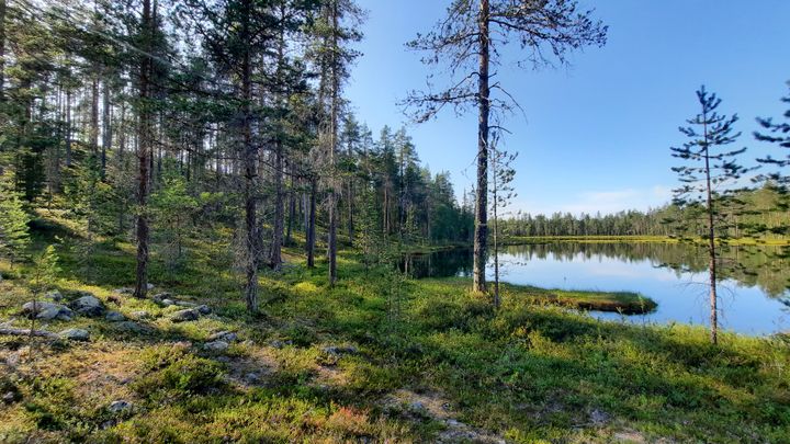 Kittilän Urakkapuljujen (12261244) pohjavesialueen luoteisosan harjumuodostumaa ja harjun itäpuoliset Silmälasilammit. Kuva: Pia Lindholm