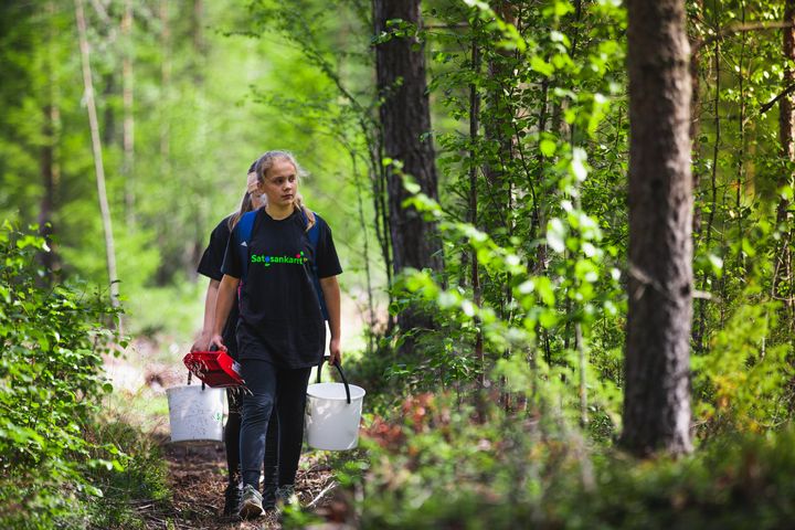 4H:n metsämarjojen osto- ja välitystoiminta Satosankarit kannustaa nuoria marjatalkoisiin. Kuva: Lassi Karvonen