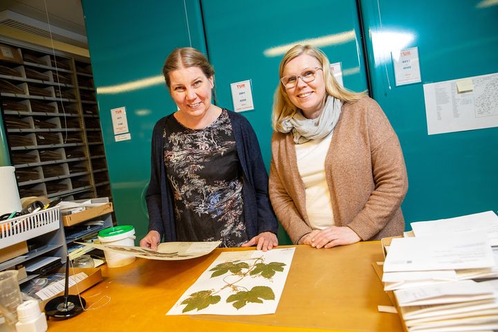 Sanna Huttunen (vas.) ja Mia Lempiäinen-Avci tutkivat DNA-menetelmillä eliöyhteisöjen monimuotoisuutta Suomessa kivikaudelta nykyaikaan. Kuva: Robert Seger
