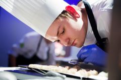 Johan Kurkela, Suomen Bocuse d'Or -joukkueen assistentti kaudella 2018-2019