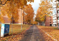 Maunulanpolku on jalankulun ja pyöräilyn reitti. Kuva: Ramboll Finland Oy.