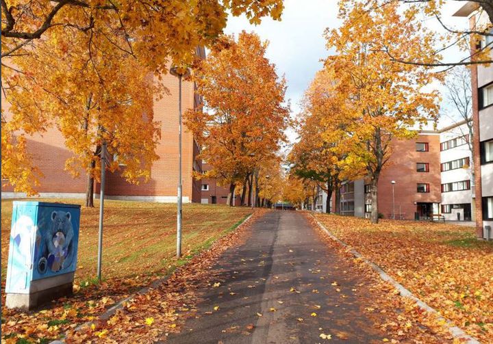 Maunulanpolku on jalankulun ja pyöräilyn reitti. Kuva: Ramboll Finland Oy.