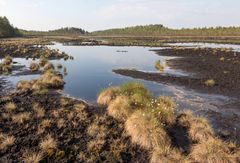 Salojennevan kosteikko toteutettiin osana Parkanon Kuivasjärven valuma-aluehanketta. Pro Kuivasjärvi ry:n työ valuma-alueelta tulevan kuormituksen vähentämiseksi jatkuu. Kuva: Mika Honkalinna/OSK Lumimuutos.